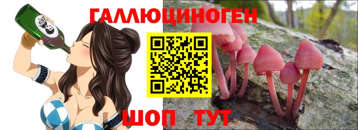 Псилоцибиновые грибы GOLDEN TEACHER  Вход с VPN  Надым 