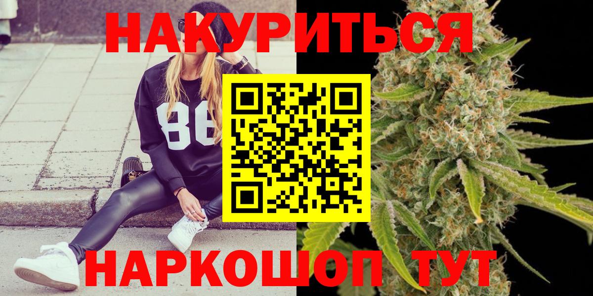 Бошки Шишки план Надым